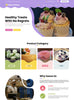 Bakery Store Free Wordpress Theme